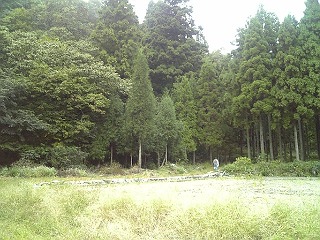 fuku_kanro04.jpg